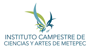 Logo-web-ICCAM