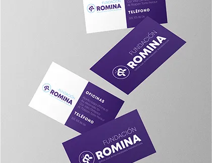 fundacion romina proyectos